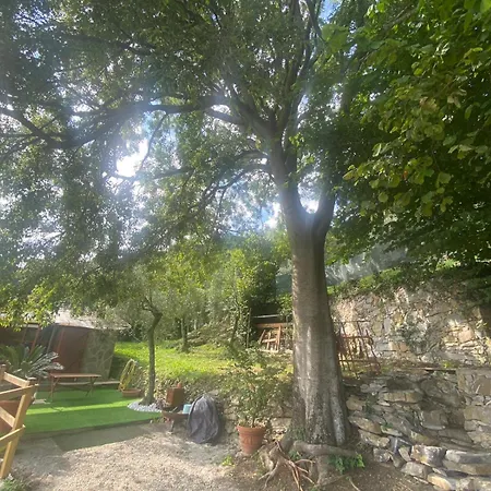 La Sosta Al Bagolaro راباللو