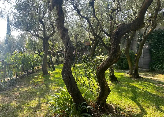 شقة La Sosta Al Bagolaro *