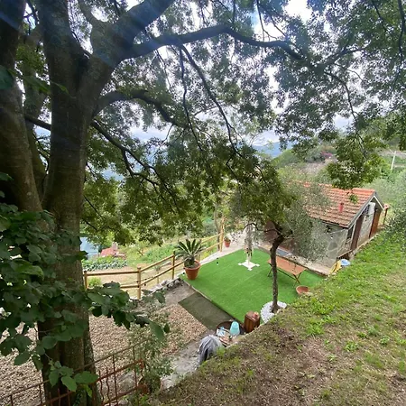 La Sosta Al Bagolaro 公寓 拉帕洛