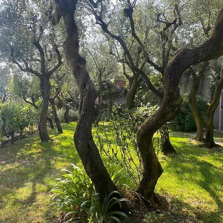 Apartment La Sosta Al Bagolaro *