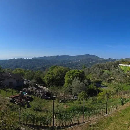 La Sosta Al Bagolaro *
